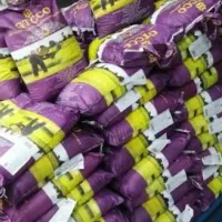 40 عدد برنج جی تی سی2480