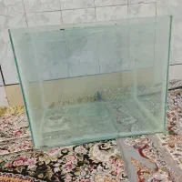 آکواریوم|ماهی|فارسان, |دیوار