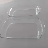 دوتا مرغ خوری پیرکس