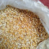 لپه نخود ریز محلی درجه یک