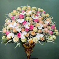 کادو گیاه آپارتمانی ،باکس و دسته گل