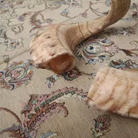 شاخ|صنایع دستی و سایر لوازم تزئینی|تهران, فلاح|دیوار