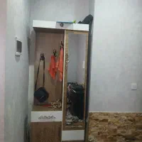 جا کفشی