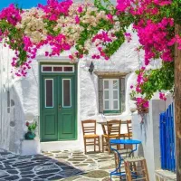 سویت روبه رو پارک شغاب