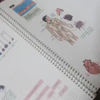 جزوه های دهم تجربی