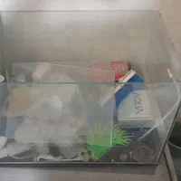 اکواریم