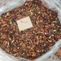 پخش گردو و مغز گردو تویسرکان