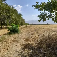 1100متر-زمین-به-صورت-مربع-جهت-ویلا-و-باغ