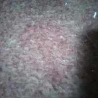 پارگینگ به متراژ ۵۰ متر