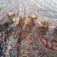 شش تا مجسمه سالم