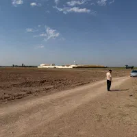 فروش-زمین-زراعی
