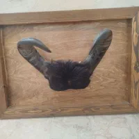 تابلو دیواری شاخ گاومیش