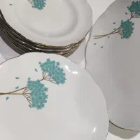سرویس چینی مقصود