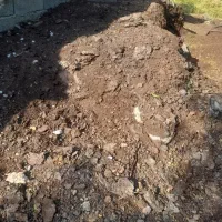 کودحیوانی گوسفندی و گاوی سوخته سوخته