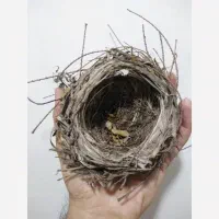 سهره خرمایی