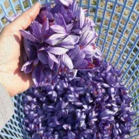 فروش زعفران سوپر نگین درجه یک به قیمت