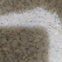 برنج چمپا جنوب