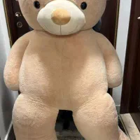 خرس ولنتاین