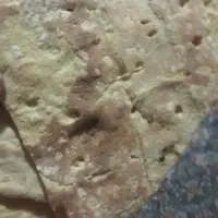 نان خشک
