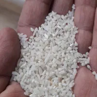 برنج نیم دانه هاشمی