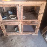قفس چوبی