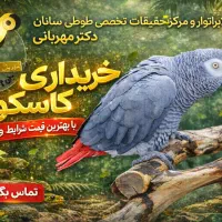 خریدار کاسکو با بهترین قیمت - فروش