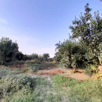 فروش قطعه دوم زمین چسبیده به بافت کامل