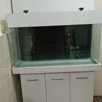آکواریوم کمد دار شیشه خم