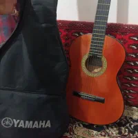 گیتار c40 درحد