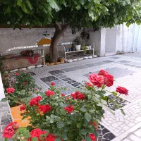 منزل مبله،سوییت،ویلا مستقل(مجوز خانه مسافر دارد)