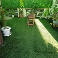 اجاره تمامی لاین زیبایی
