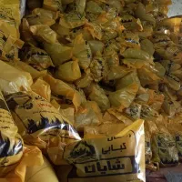 زغال کبابی خودسوز