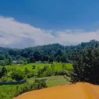 اجاره ویلایی دوبلکس ویو جنگل پلاک یک جنگل