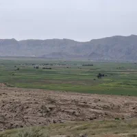 فروش یونجه شیراز تمیز بدون علف