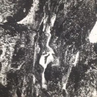 بلکا بلکا نقاشی تعمیرات ساختمان