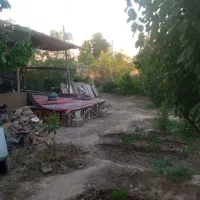 باغچه معاوضه