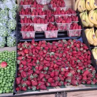 کارگر میوه فروشی
