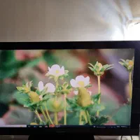 تلویزیون ال سی دی سونی ۴۰ اینچ