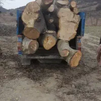 خرید هیزم و کاتین باغی و هیزم جنگلی با مجوز