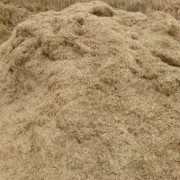 کاه گندم خوراک دام