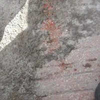 اجاره خانه در  فاز یک دو طبقه