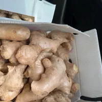 زنجبیل تازه