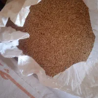 جو بوجاری محلی تمیز  و جو کاموا 45000