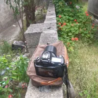 دوربین Nikon D90|دوربین عکاسی و فیلم‌برداری|بابلسر, |دیوار