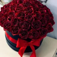 باکس گل