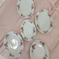 ۵ عدد دیشس گل سرخ