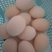 تخم مرغ گلین