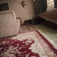 خط دایمی