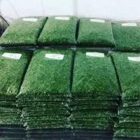 سبزی|خوردنی و آشامیدنی|مشهد, پایین خیابان|دیوار