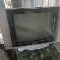 تلویزیون